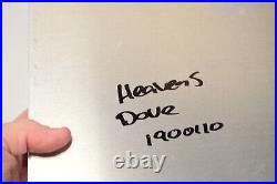 Chris DeRubeis Heavens Dove Butterfly Airbrush Aluminum Mixed Media 12x20