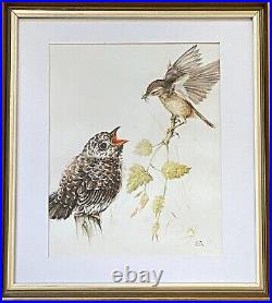 E ANDERSON Ornithological Mixed Media Painting Reed Warbler Bird Feeding Cuckoo