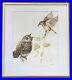 E ANDERSON Ornithological Mixed Media Painting Reed Warbler Bird Feeding Cuckoo