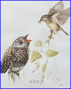 E ANDERSON Ornithological Mixed Media Painting Reed Warbler Bird Feeding Cuckoo