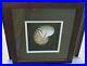 Framed Mounted Chambered Nautilus Shell, Picture Art Signed & Dated