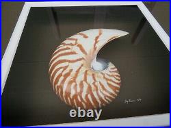 Framed Mounted Chambered Nautilus Shell, Picture Art Signed & Dated