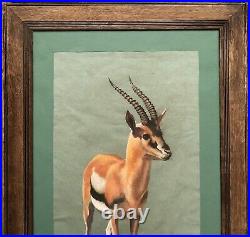 Gazelle' (Pastel/Mixed Media) by renowned artist Peter Jepson 645