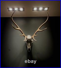 Large 12 Sika Deer Skull Encrusted With Over 3500 Swarovski Crystals Taxidermy