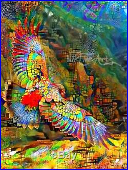 Nik Tod Original Painting Signed Art Texture Rare Parrot Bird Kea In New Zealand