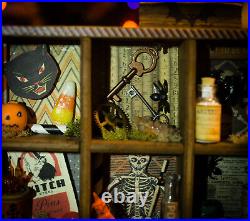 Vintage Halloween Shadow Box Assembledge Shelf of Curiosity Apothecary Decor